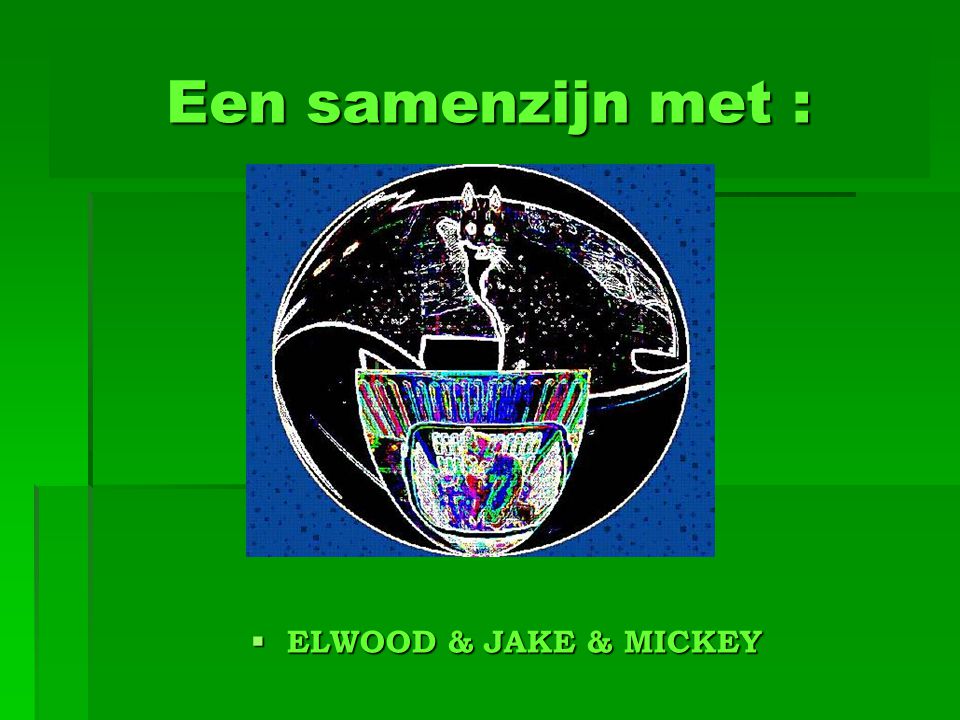 Een samenzijn met : ELWOOD & JAKE & MICKEY
