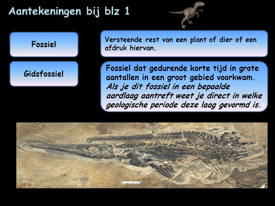 Aantekeningen bij blz 1 Fossiel