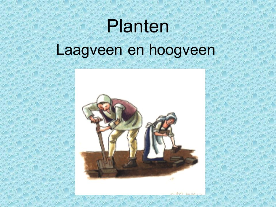 Planten Laagveen en hoogveen