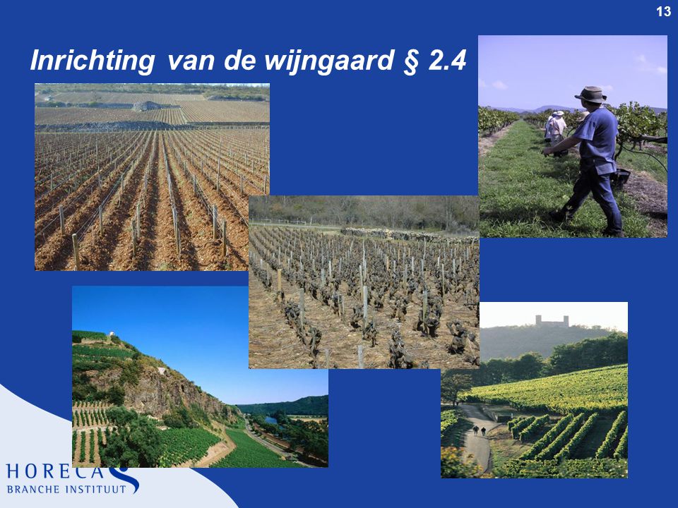 Inrichting van de wijngaard § 2.4
