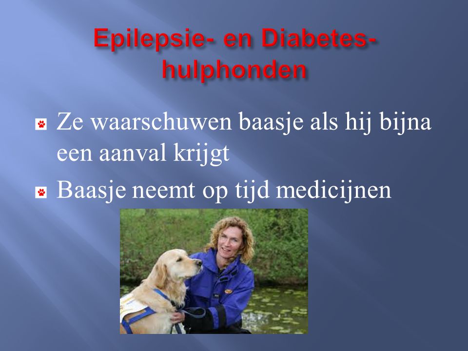 Epilepsie- en Diabetes- hulphonden