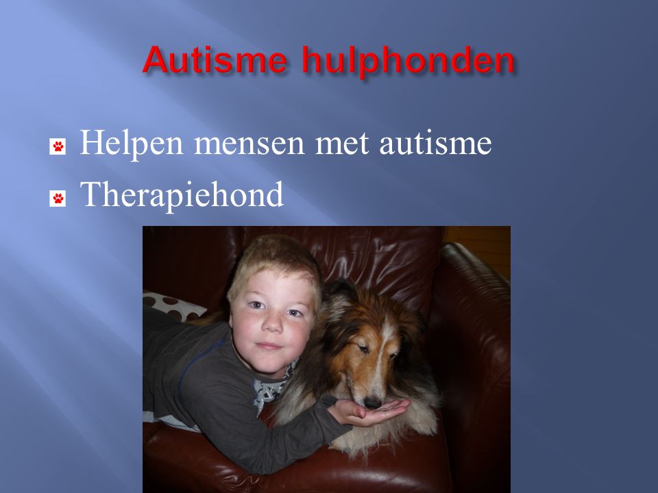Autisme hulphonden Helpen mensen met autisme Therapiehond