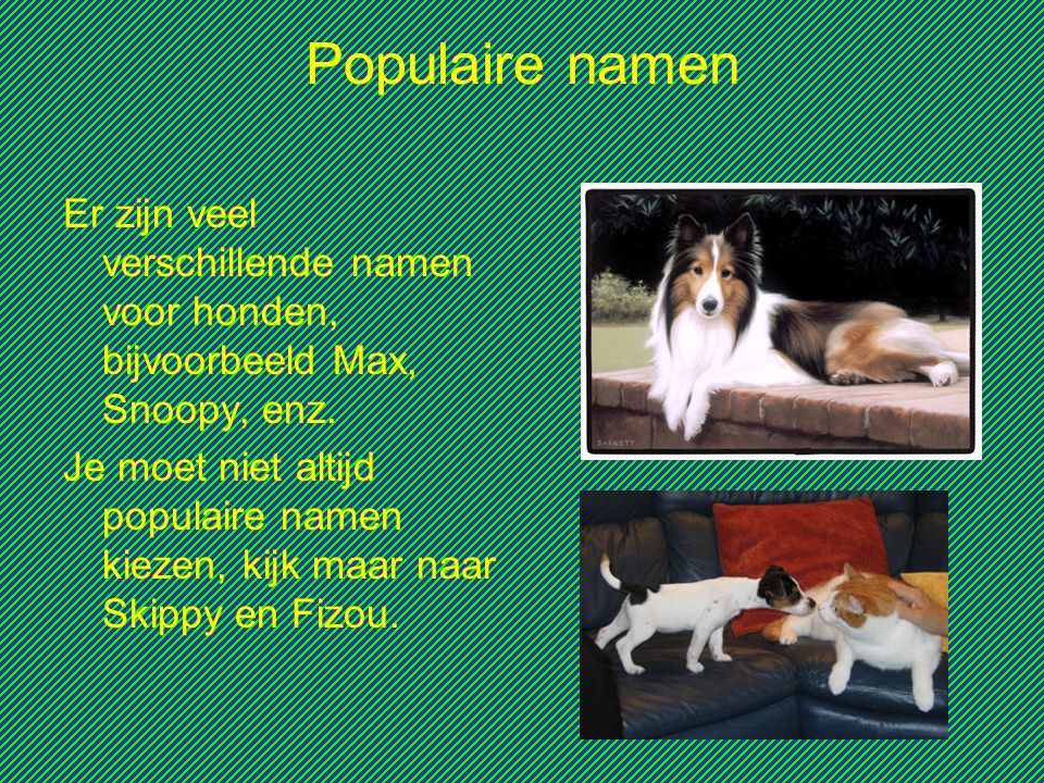 Populaire namen Er zijn veel verschillende namen voor honden, bijvoorbeeld Max, Snoopy, enz.