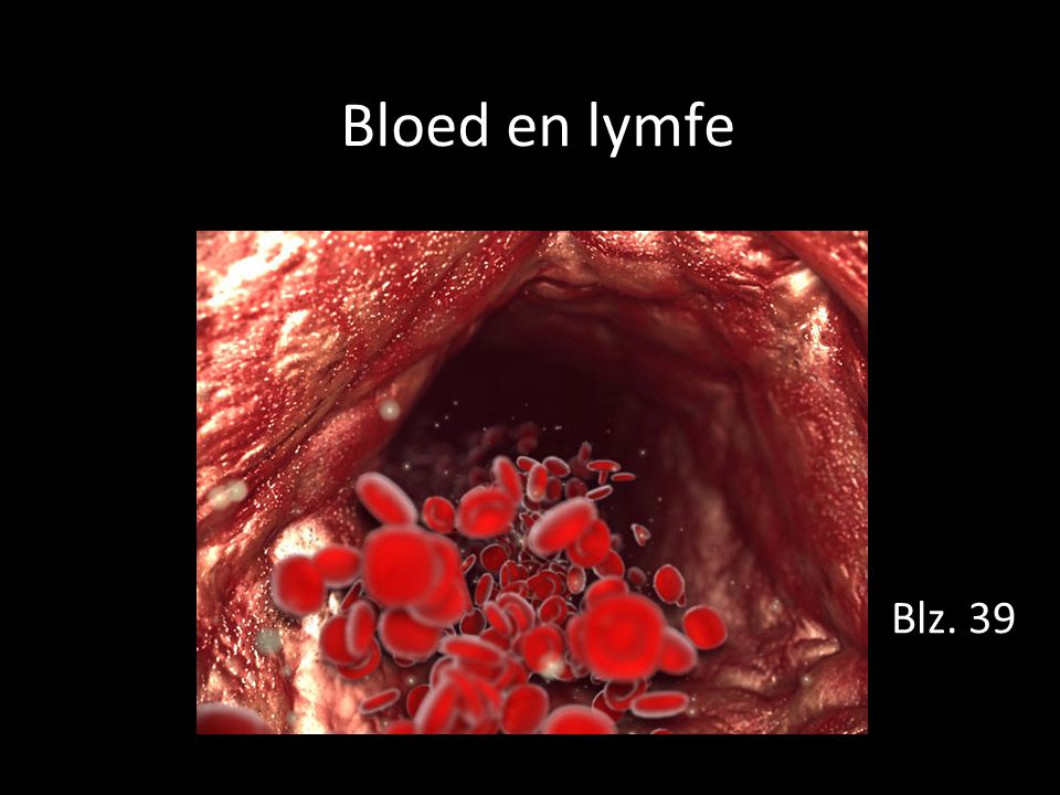 Bloed en lymfe Blz. 39