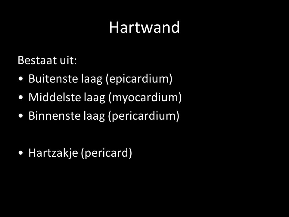 Hartwand Bestaat uit: Buitenste laag (epicardium)
