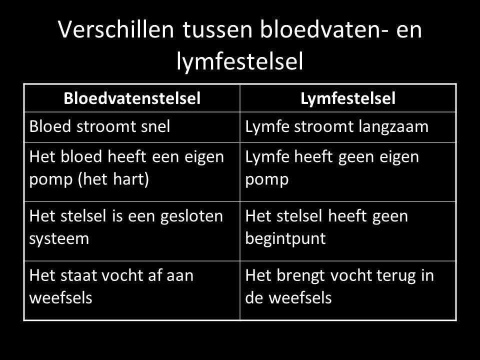 Verschillen tussen bloedvaten- en lymfestelsel