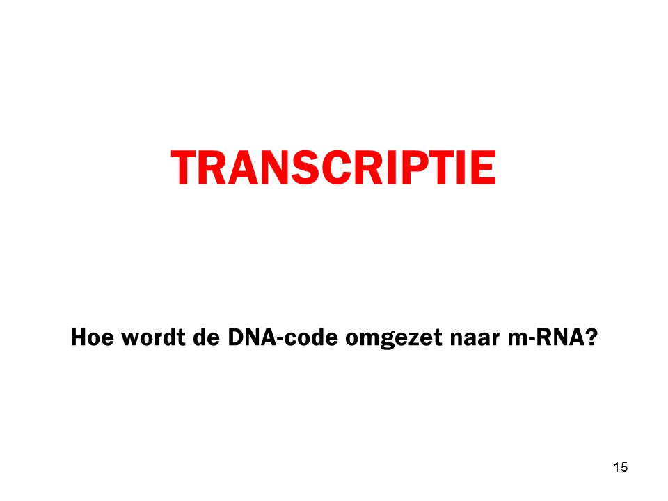 TRANSCRIPTIE Hoe wordt de DNA-code omgezet naar m-RNA