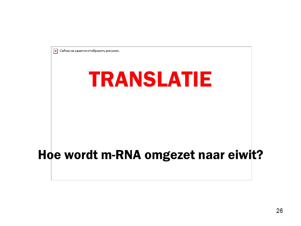 TRANSLATIE Hoe wordt m-RNA omgezet naar eiwit