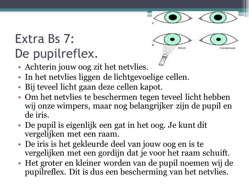 Extra Bs 7: De pupilreflex.