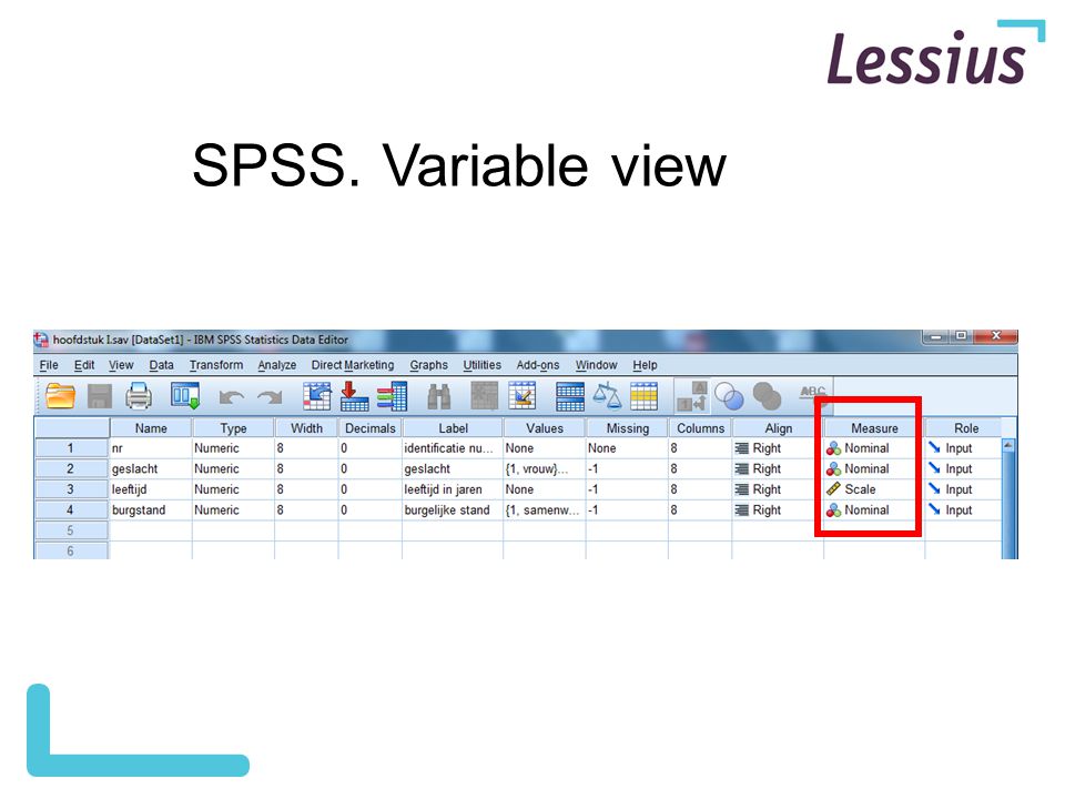SPSS. Variable view