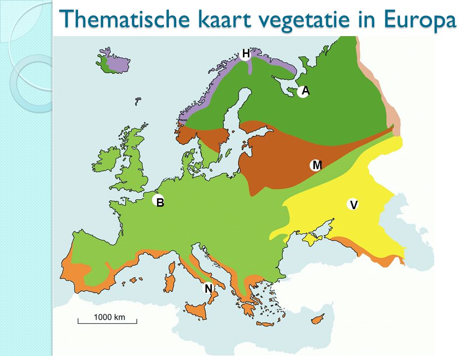 Thematische kaart vegetatie in Europa