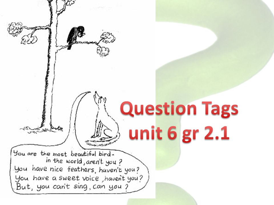 Question Tags unit 6 gr 2.1