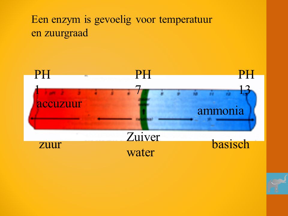 PH 1 PH 7 PH 13 accuzuur ammonia Zuiver water zuur basisch