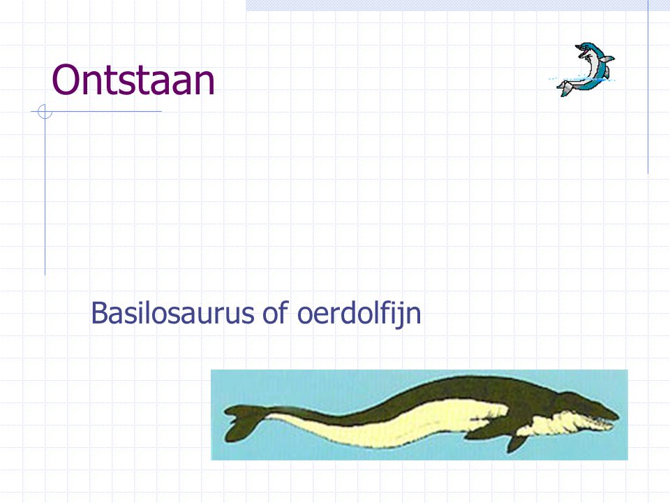 Ontstaan Basilosaurus of oerdolfijn