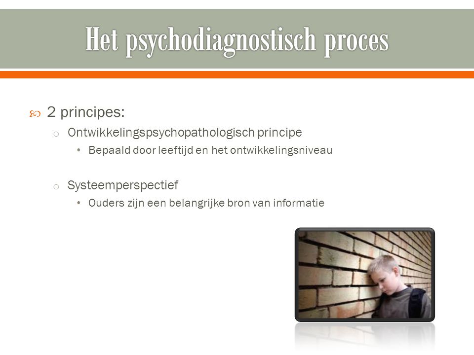 Het psychodiagnostisch proces