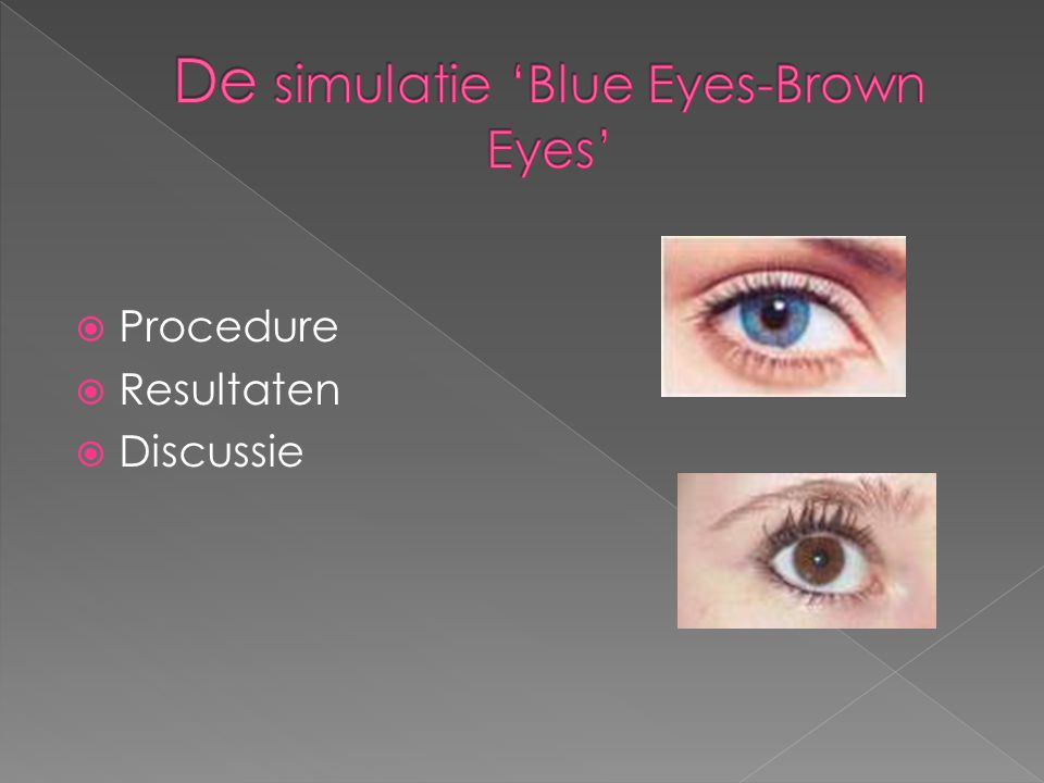 De simulatie ‘Blue Eyes-Brown Eyes’