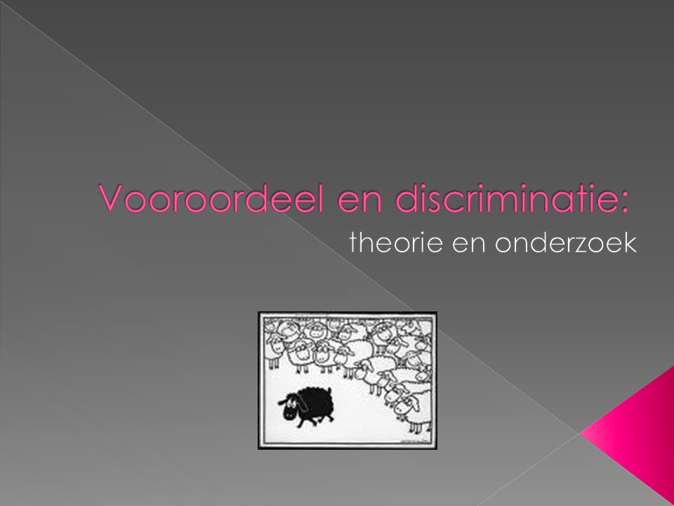 Vooroordeel en discriminatie: