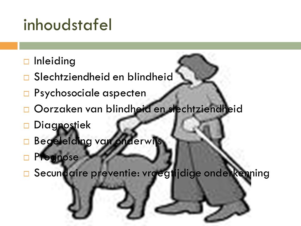 inhoudstafel Inleiding Slechtziendheid en blindheid