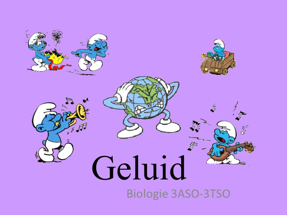 Geluid Biologie 3ASO-3TSO