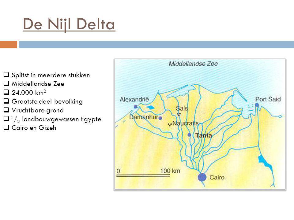 De Nijl Delta Splitst in meerdere stukken Middellandse Zee km2