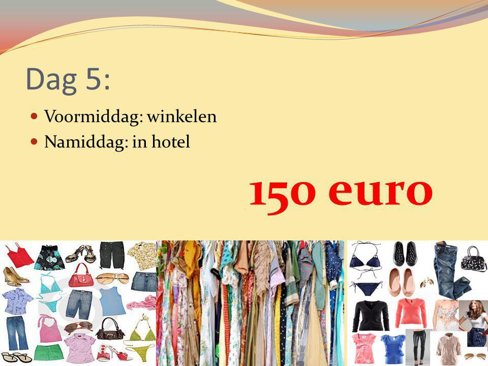 Dag 5: Voormiddag: winkelen Namiddag: in hotel 150 euro