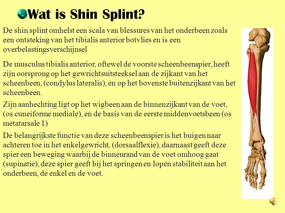 Wat is Shin Splint
