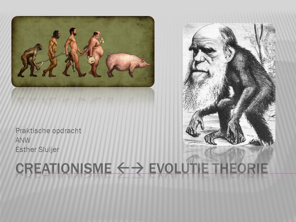 Creationisme  Evolutie theorie