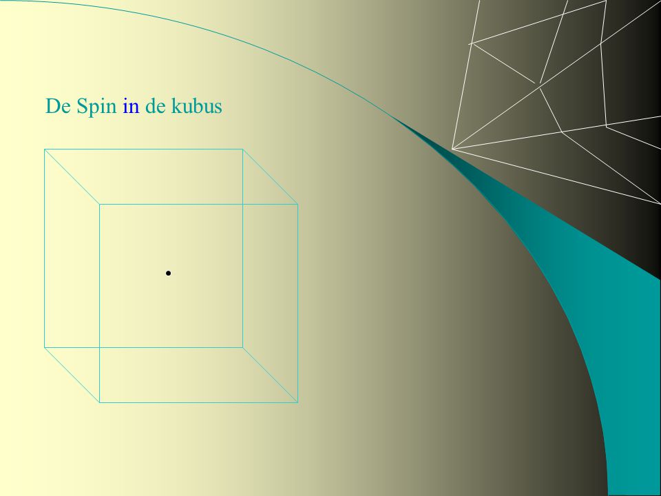 De Spin in de kubus