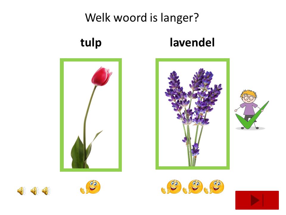 Welk woord is langer tulp lavendel