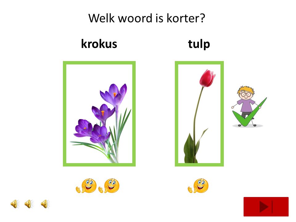 Welk woord is korter krokus tulp