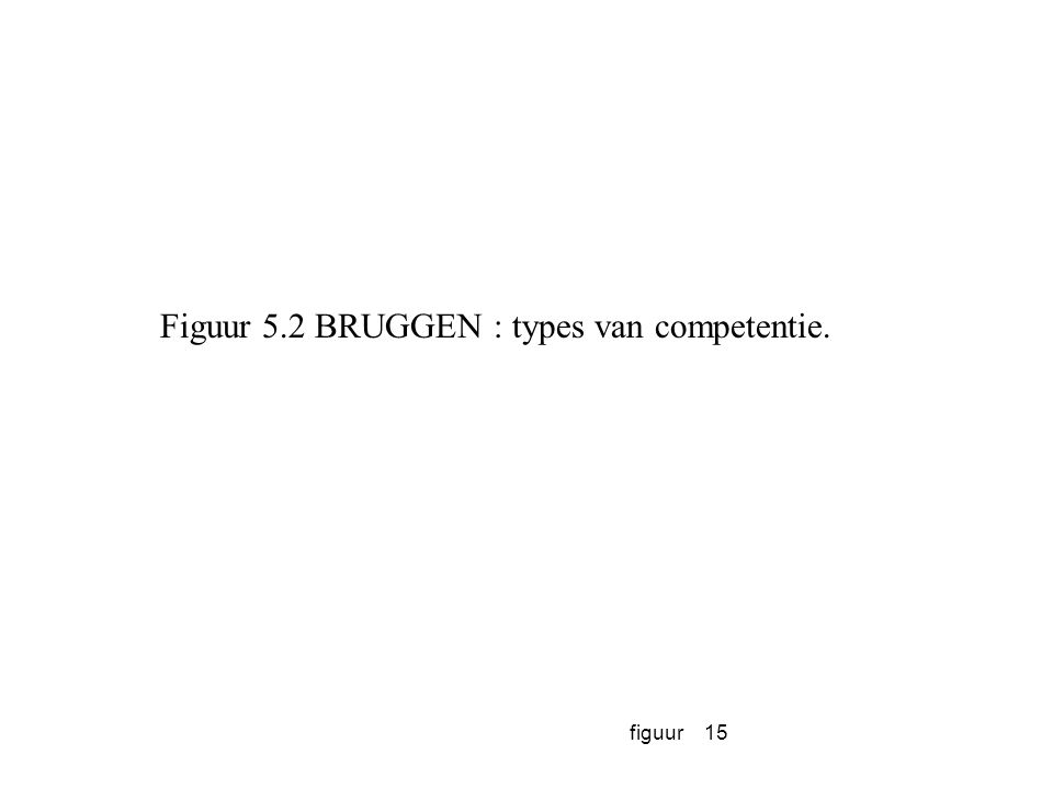 Figuur 5.2 BRUGGEN : types van competentie.