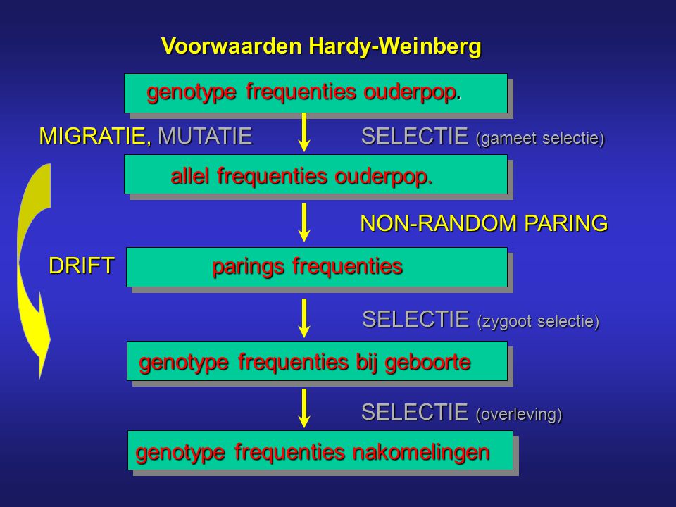 Voorwaarden Hardy-Weinberg