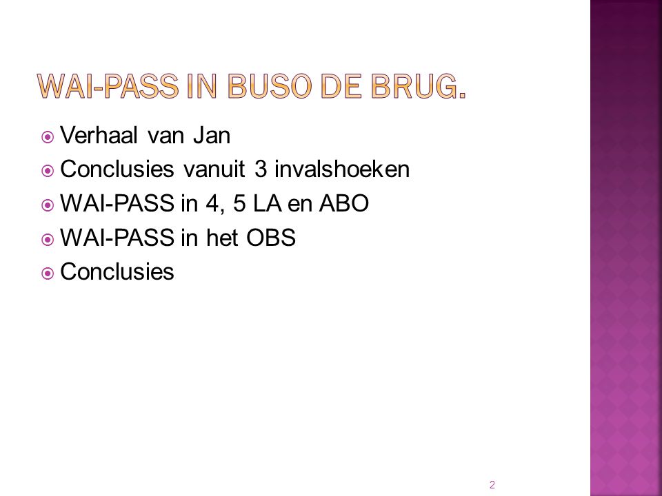 WAI-PASS in BuSO De Brug.