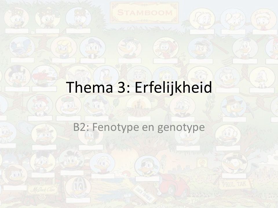 B2: Fenotype en genotype
