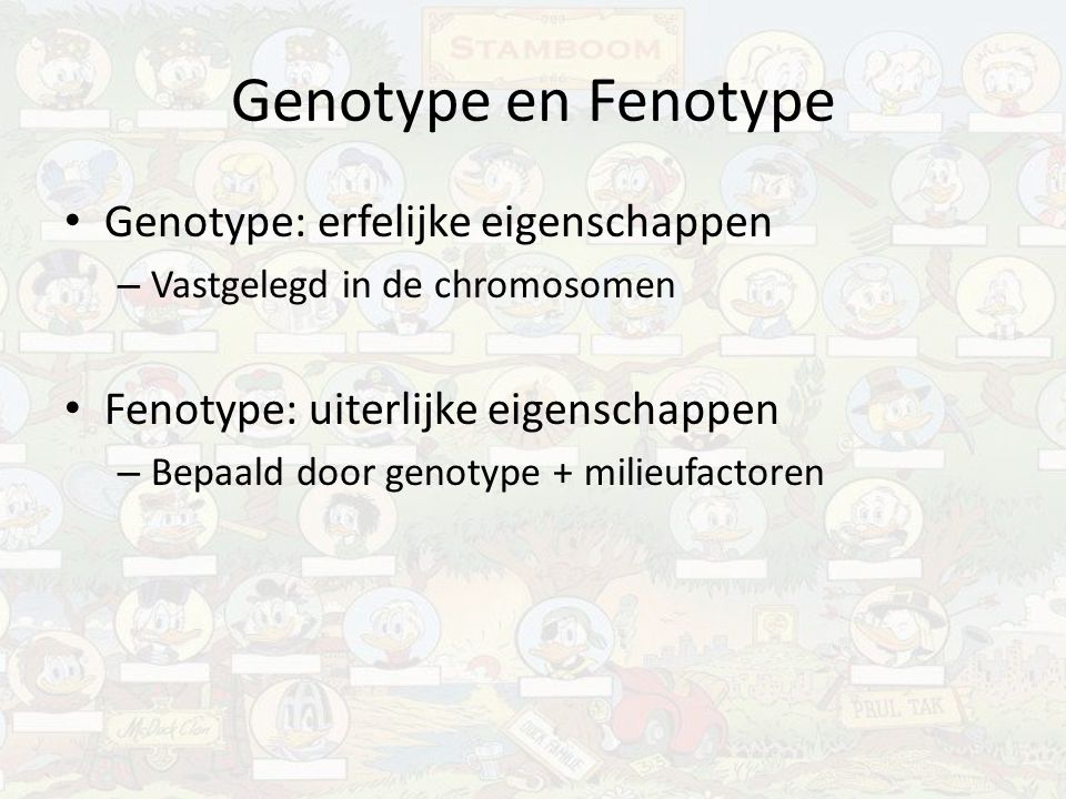 Genotype en Fenotype Genotype: erfelijke eigenschappen