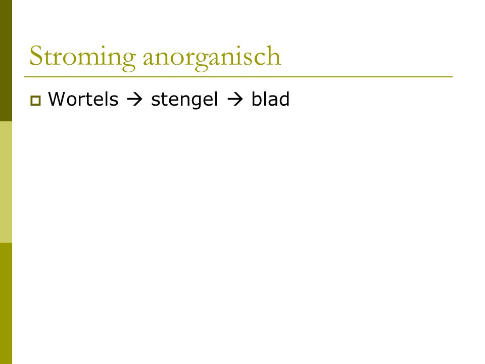Stroming anorganisch Wortels  stengel  blad