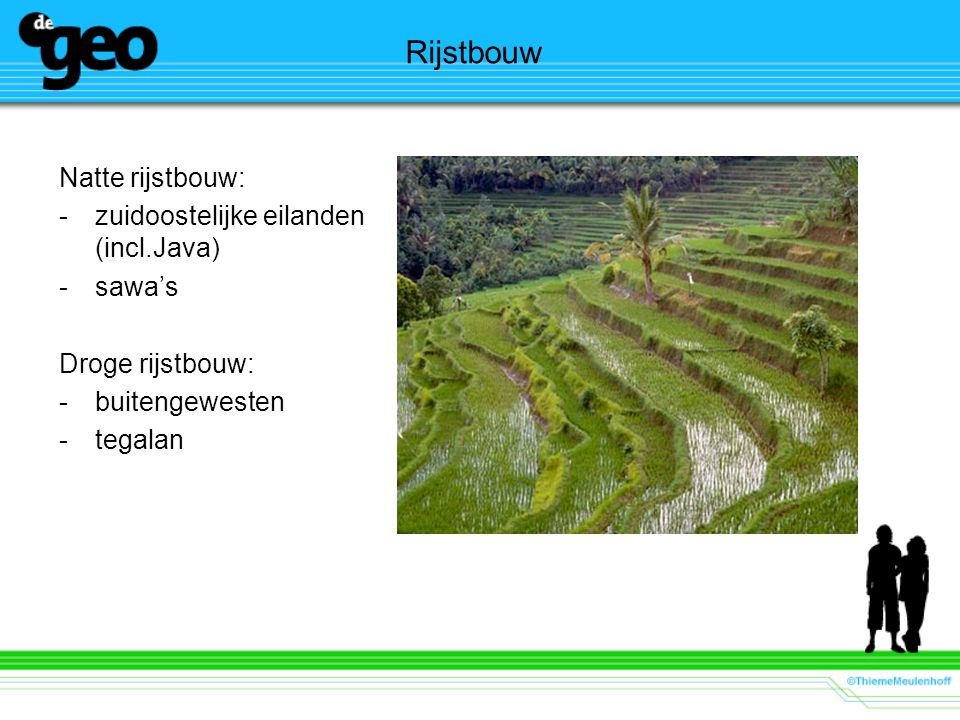 Rijstbouw Natte rijstbouw: zuidoostelijke eilanden (incl.Java) sawa’s