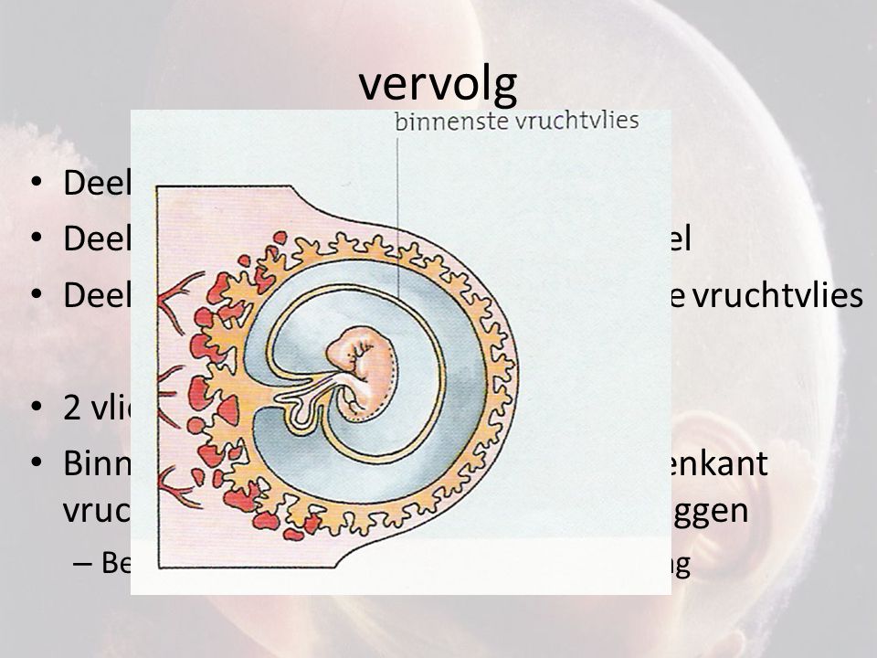 vervolg Deel van embryonaalknop -> embryo