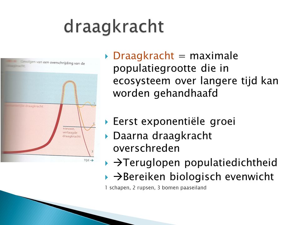 draagkracht Draagkracht = maximale populatiegrootte die in ecosysteem over langere tijd kan worden gehandhaafd.