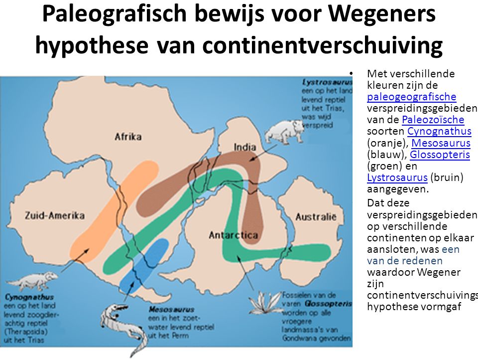 Paleografisch bewijs voor Wegeners hypothese van continentverschuiving