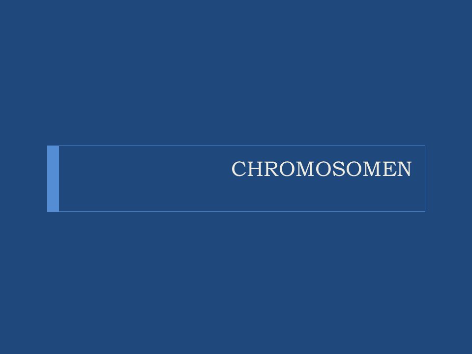 CHROMOSOMEN