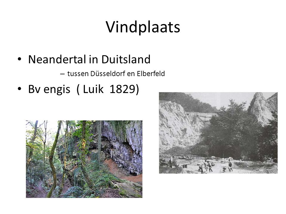 Vindplaats Neandertal in Duitsland Bv engis ( Luik 1829)