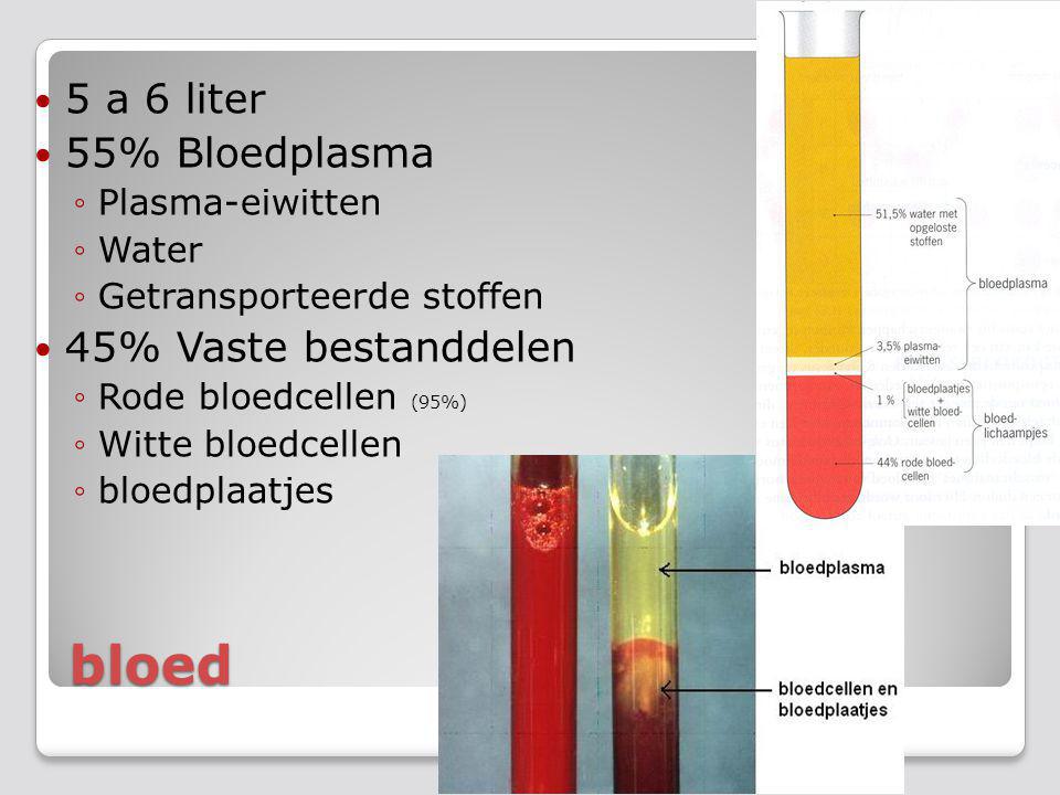 bloed 5 a 6 liter 55% Bloedplasma 45% Vaste bestanddelen