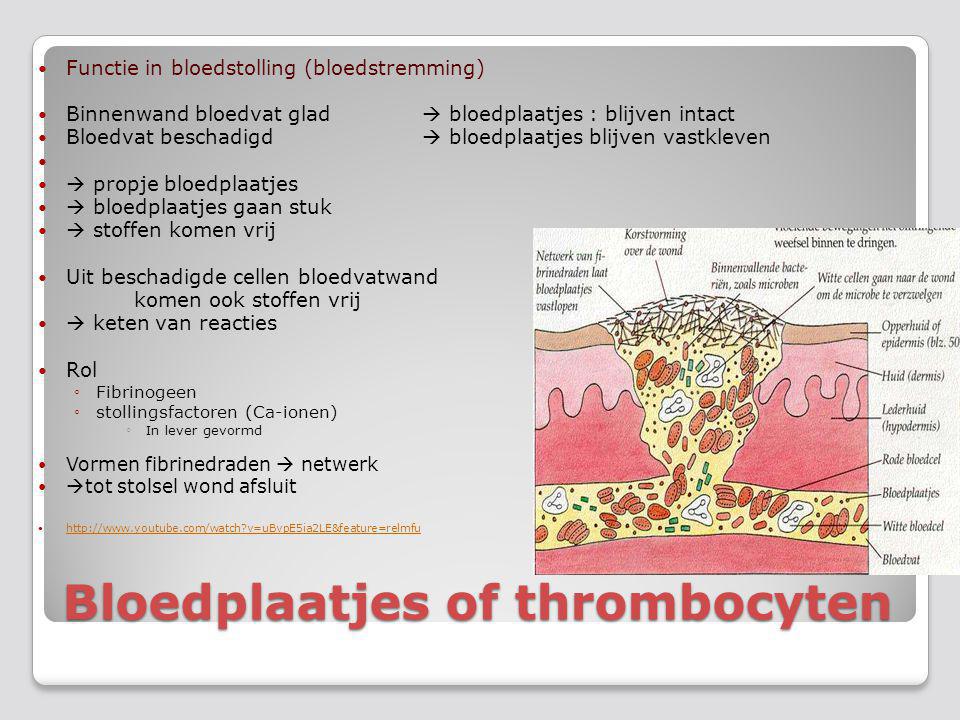 Bloedplaatjes of thrombocyten