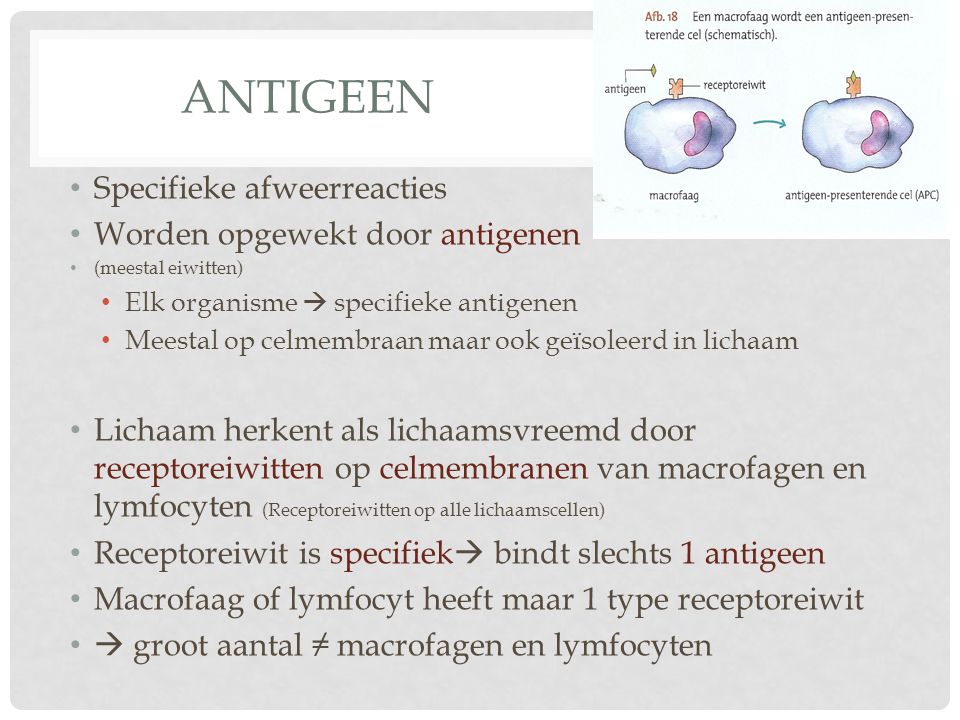 Antigeen Specifieke afweerreacties Worden opgewekt door antigenen