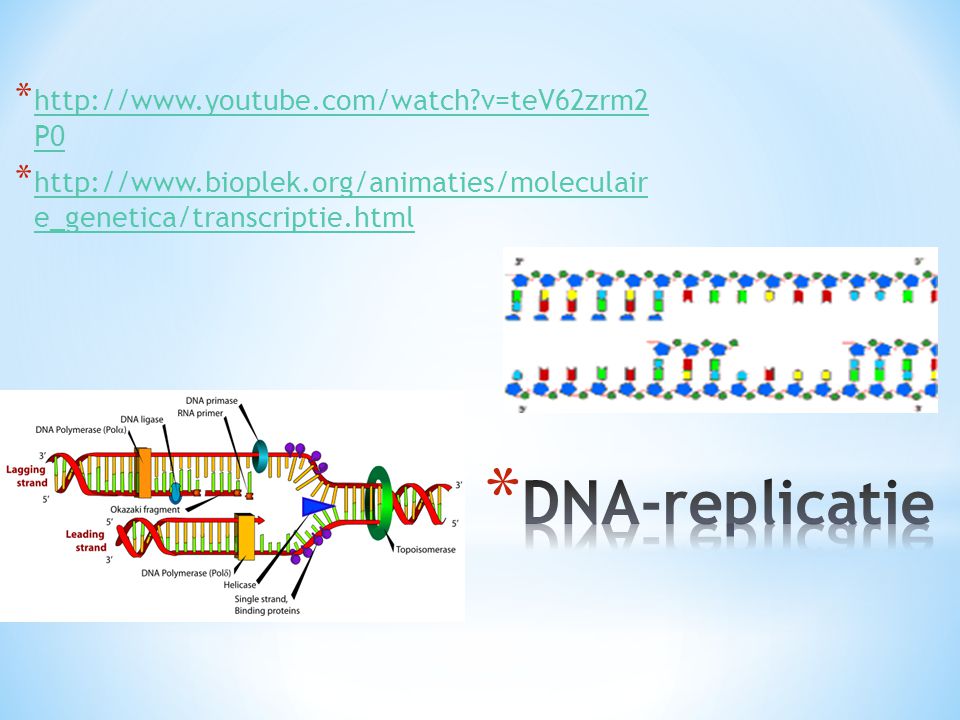DNA-replicatie   v=teV62zrm2 P0