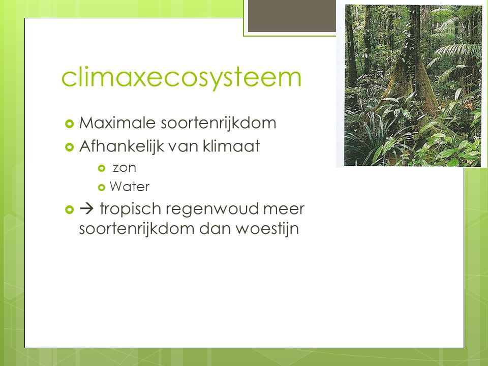 climaxecosysteem Maximale soortenrijkdom Afhankelijk van klimaat