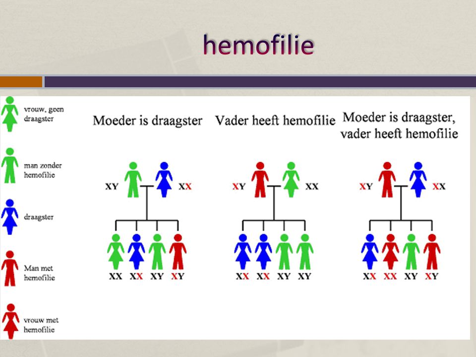hemofilie