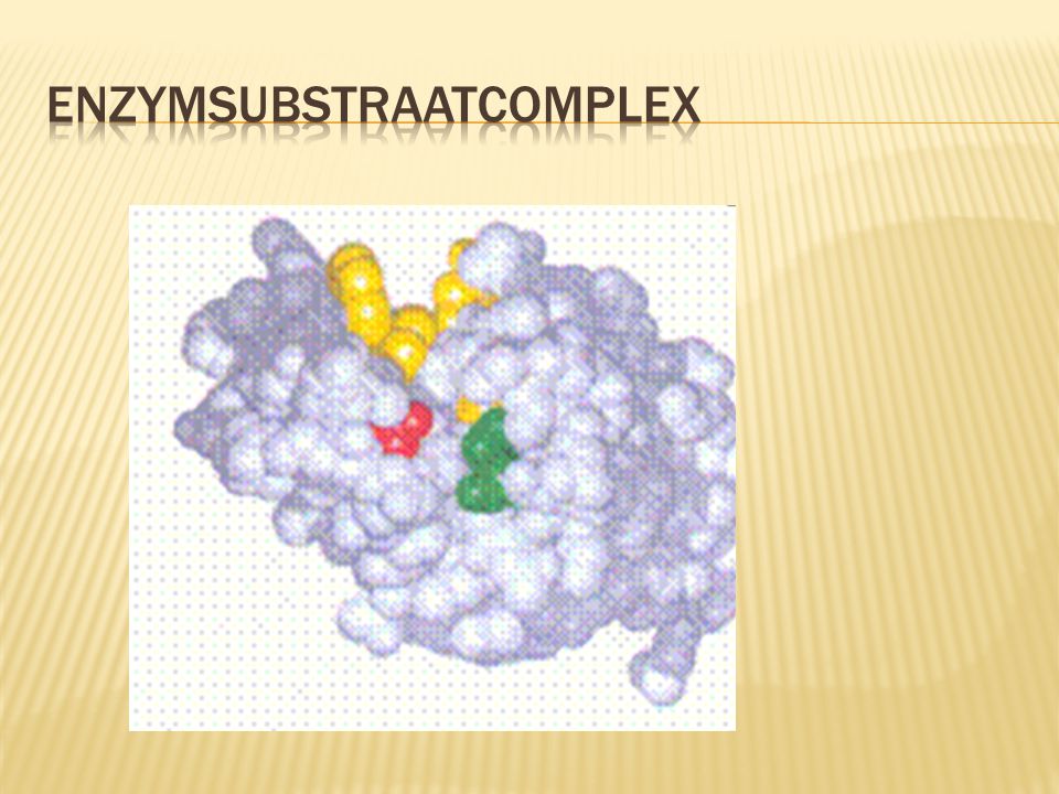 enzymsubstraatcomplex