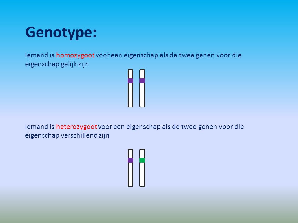 Genotype: Iemand is homozygoot voor een eigenschap als de twee genen voor die eigenschap gelijk zijn.